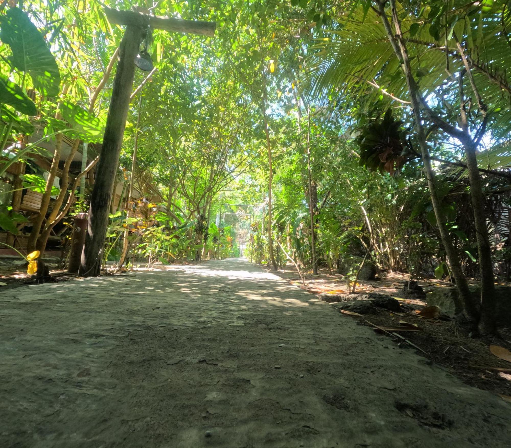 Havelock Farms Resort Vijay Nagar Beach Exteriör bild