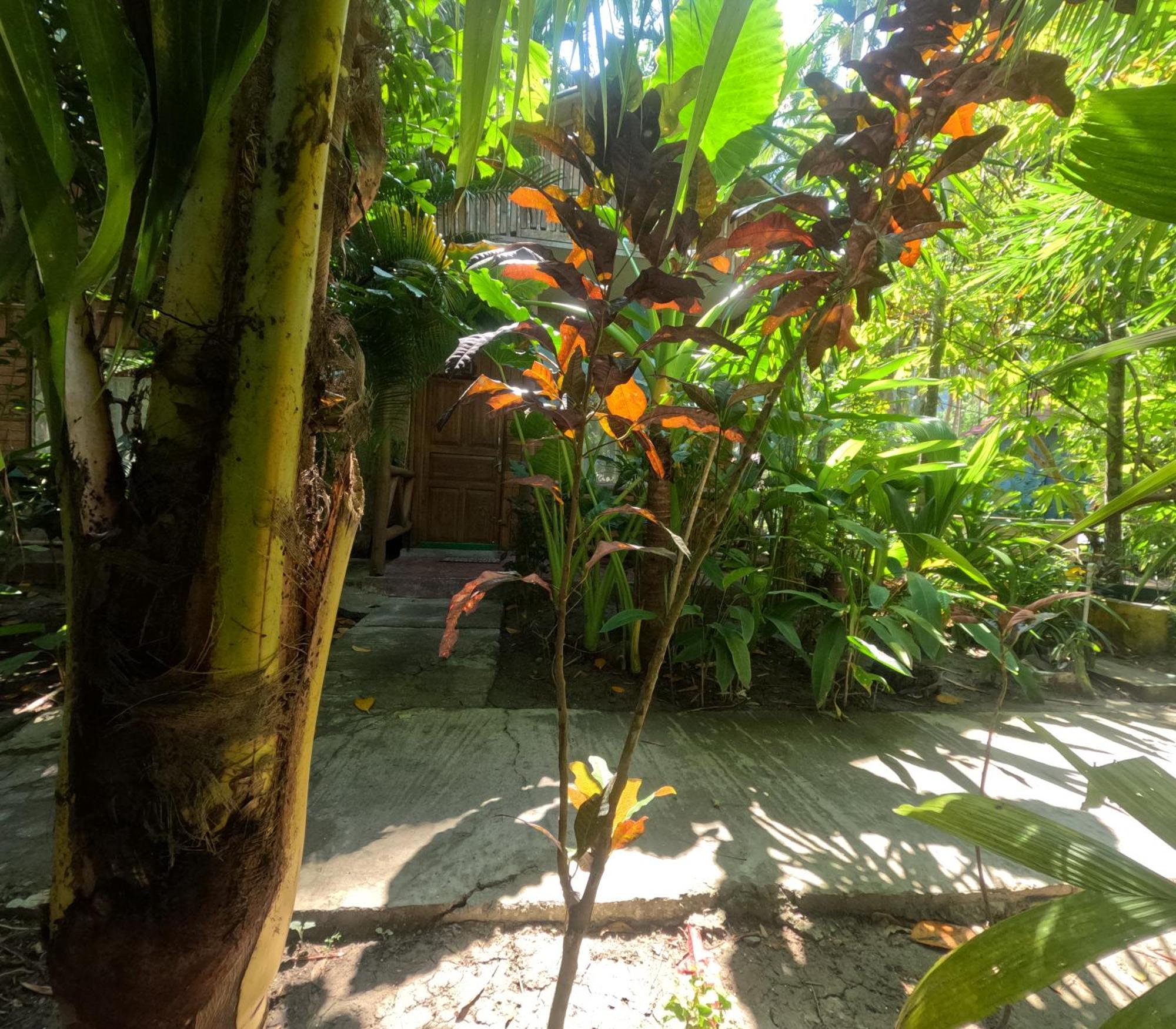 Havelock Farms Resort Vijay Nagar Beach Exteriör bild